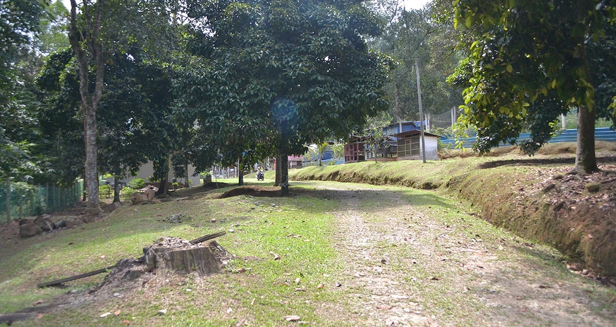 Bu köye giden bir gecede milyoner oluyor