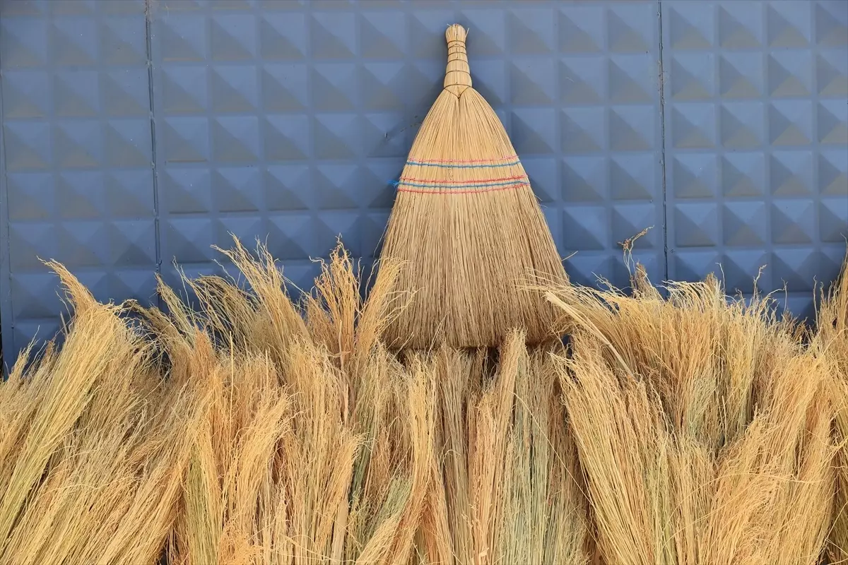 Edirne’de Süpürge Otu Üretimi Artırılacak