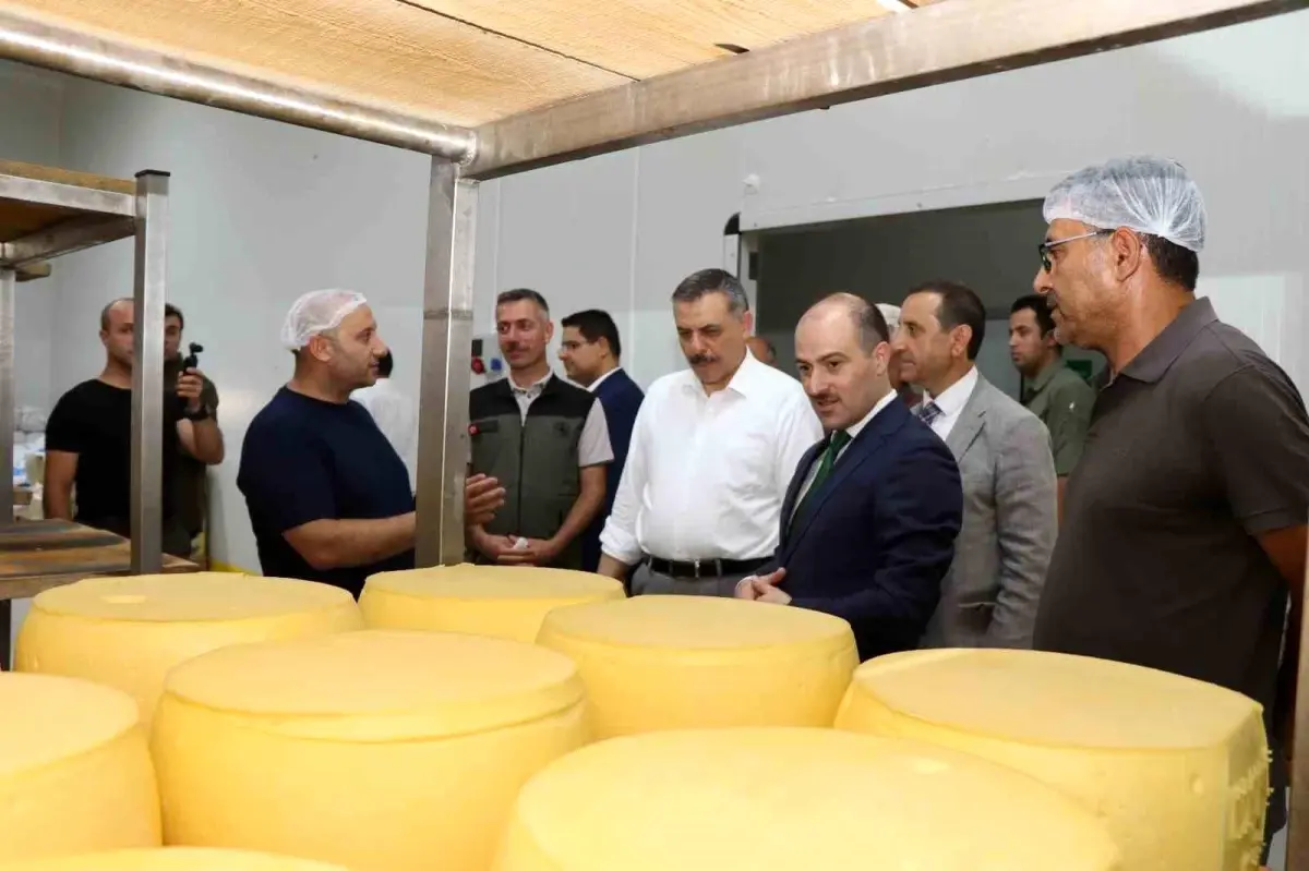 Vali Çiftçi, Oltu’daki Süt Ürünleri Fabrikasını Ziyaret Etti