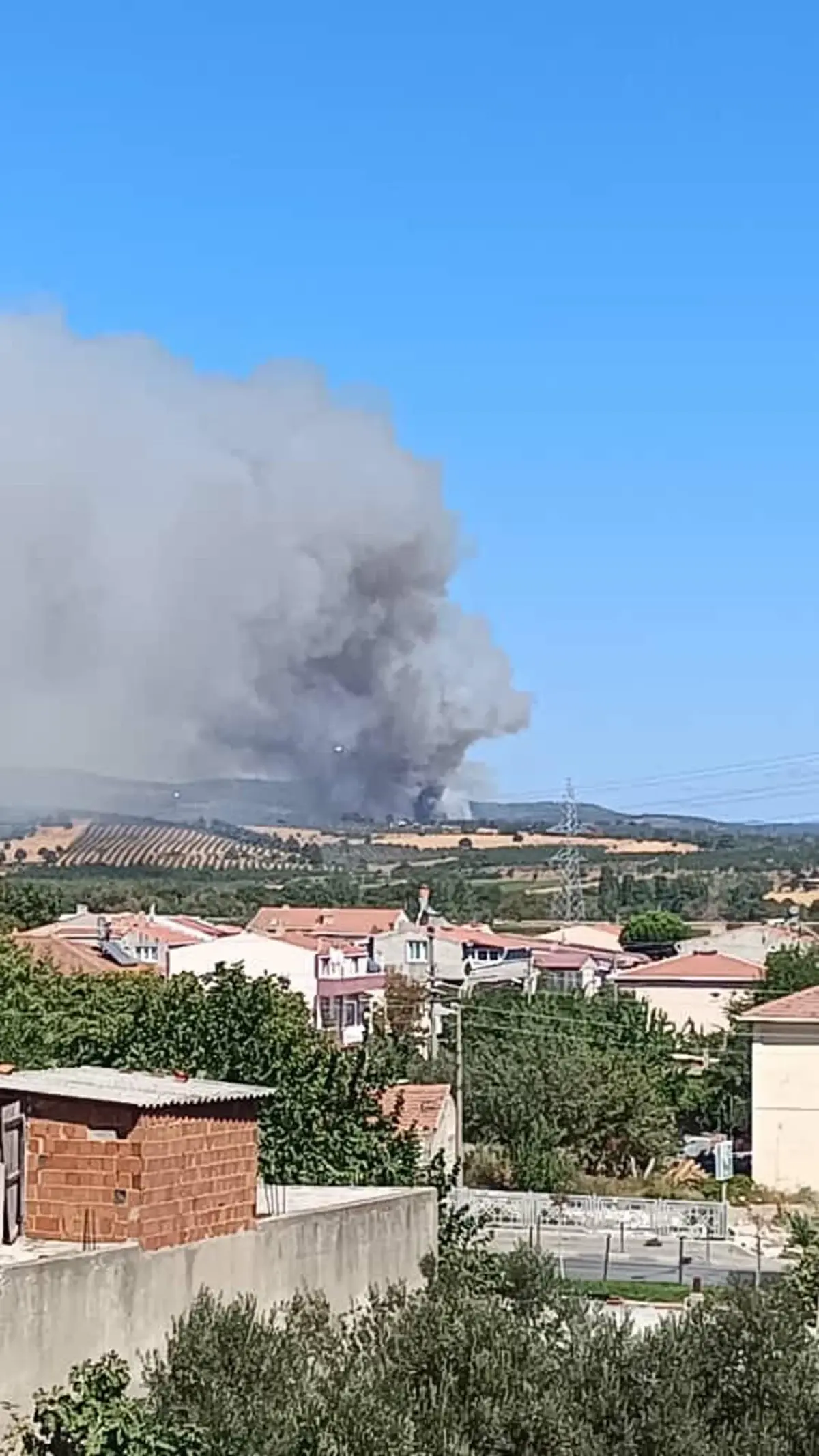 Çanakkale’de Orman Yangını