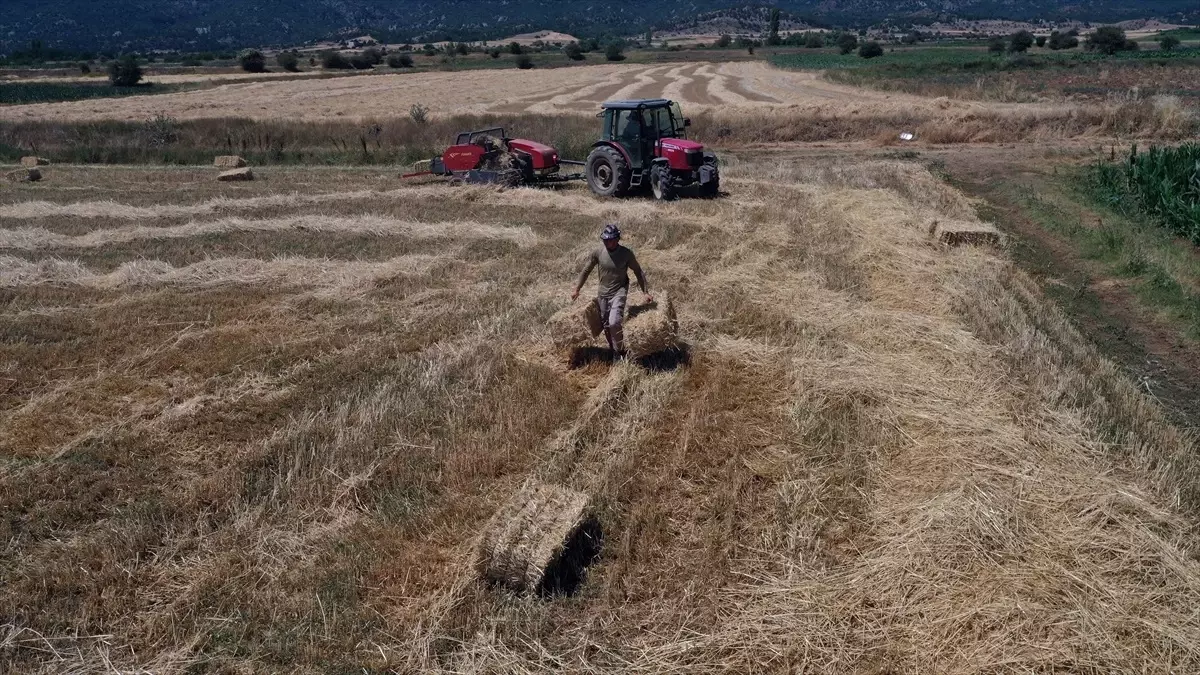 Çiftçiliği Seçen Üniversite Mezunu Çift