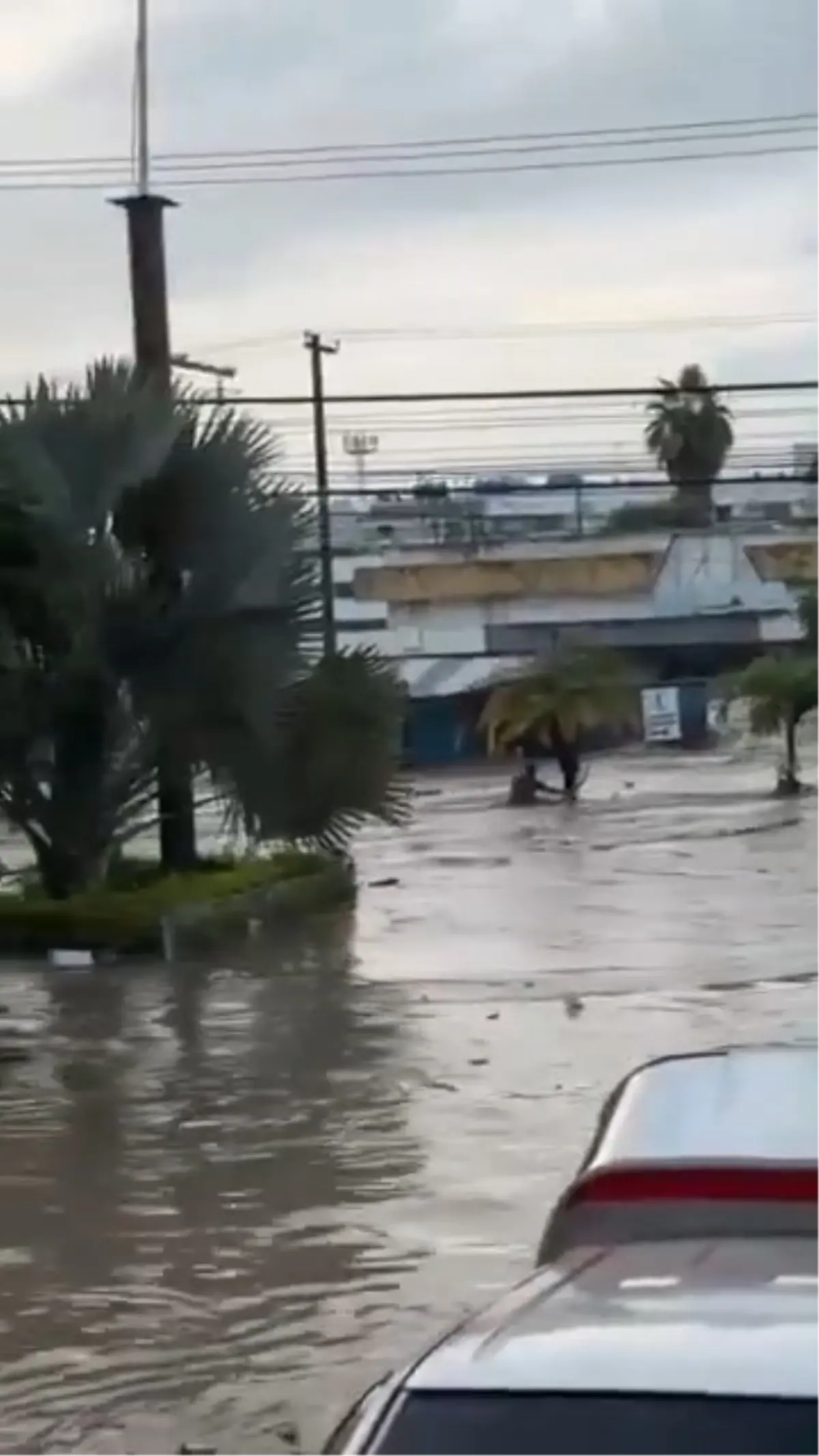Meksika’da Şiddetli Yağışlar Sele Neden Oldu: 41 Ölü