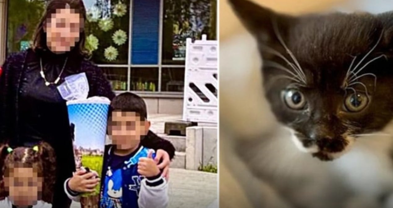 Zehirlenen böcek ailesinden geriye sadece o kalmıştı, o da isimsiz kaldı