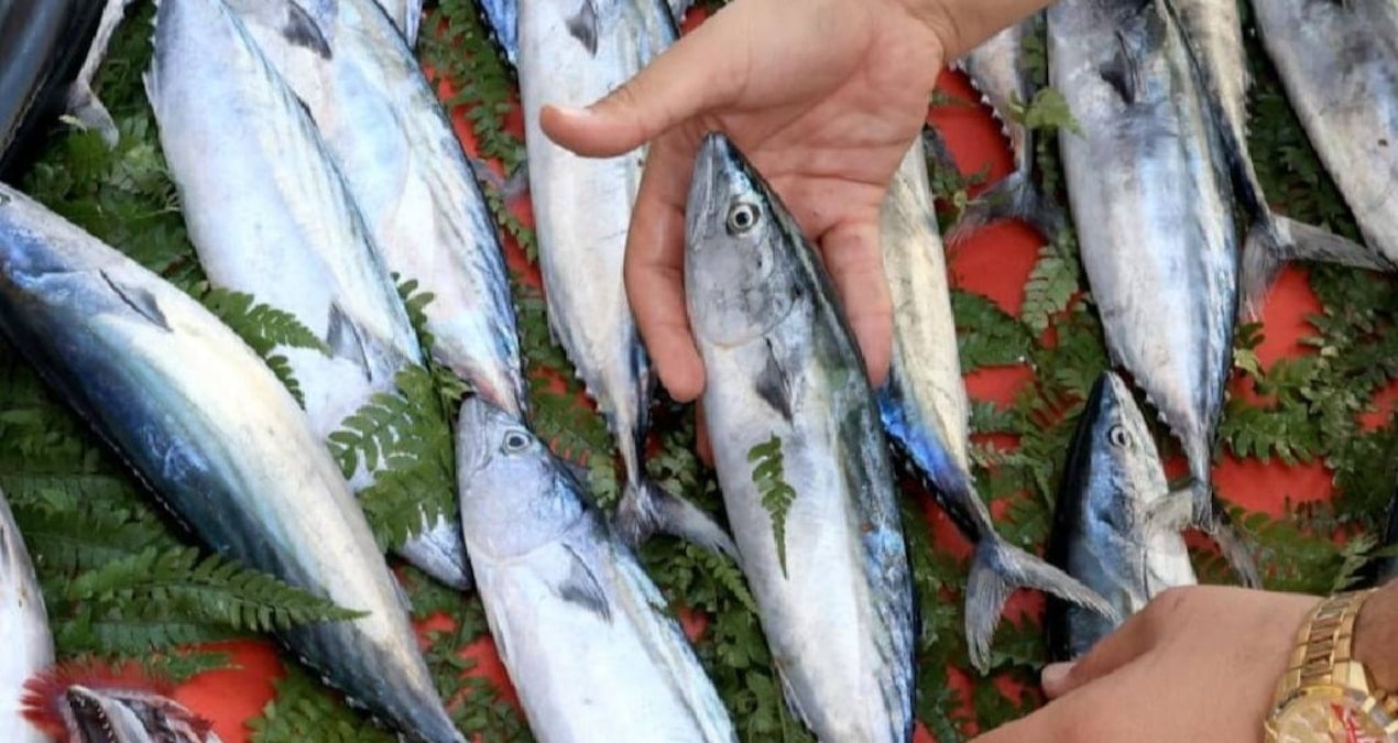 Zenginler yüzüne balık spermi enjekte etmeye başladı