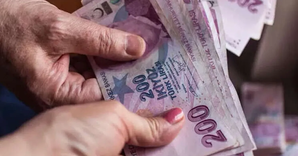 Aralık ayı yaşlı ve engelli aylıkları hesaplara yatırılıyor