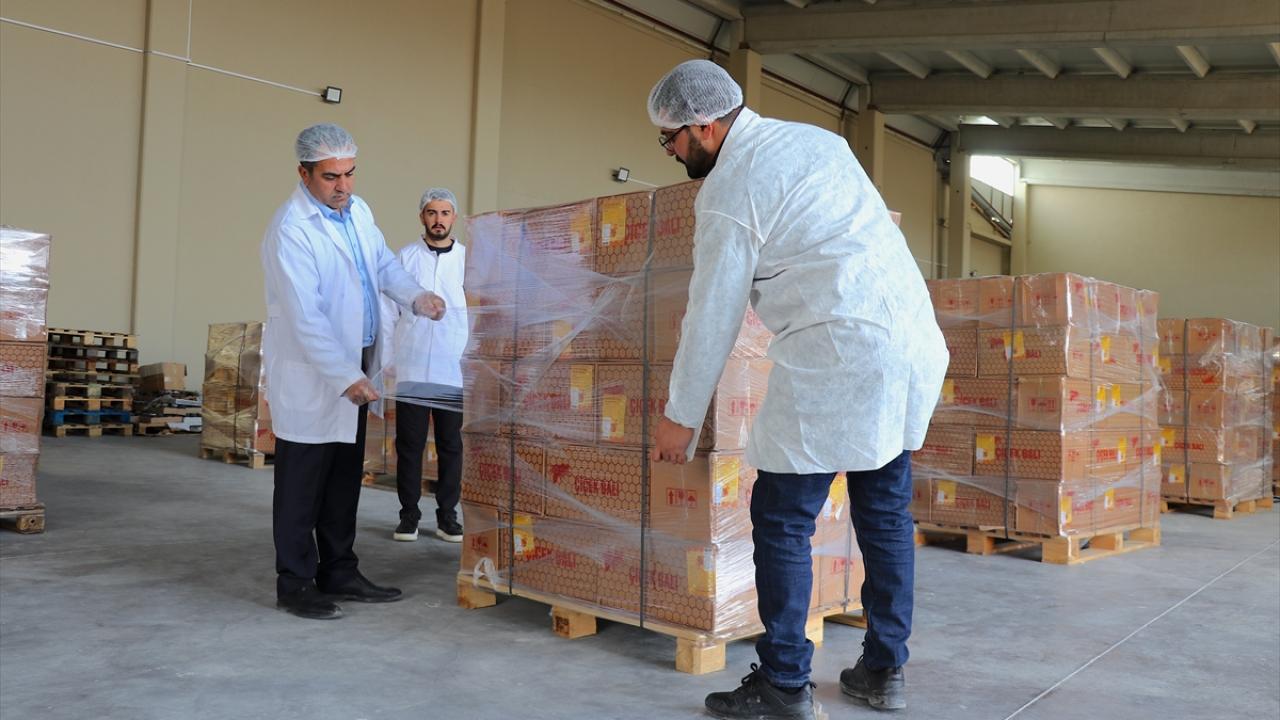 Devlet desteği ile kurdu: Van’dan Dubai’ye 16,5 ton bal ihracatı yaptı