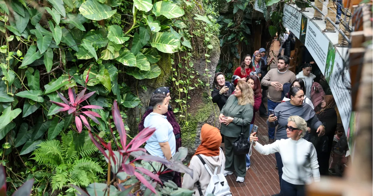 Konya Selçuklu’da Şeb-i Arus yoğunluğu