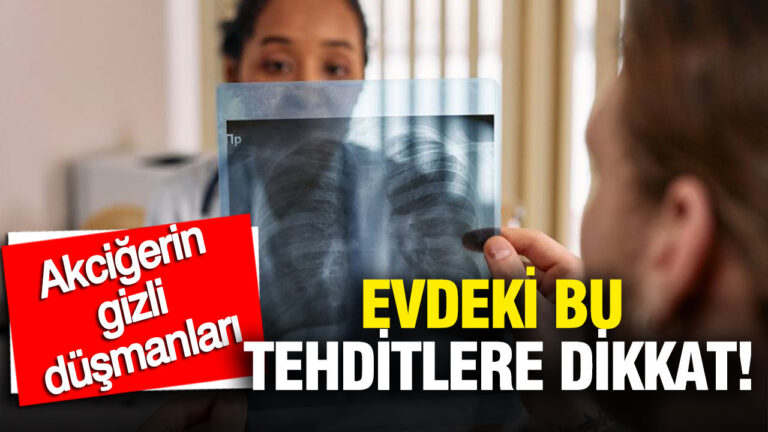 akcigerin-gizli-dusmanlari-evin-icindeki-bu-tehditlere-dikkat-ygbXX9gJ