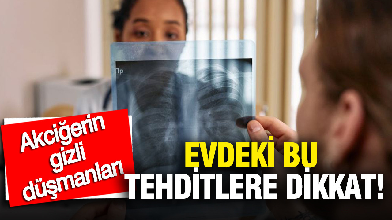 akcigerin-gizli-dusmanlari-evin-icindeki-bu-tehditlere-dikkat-ygbXX9gJ