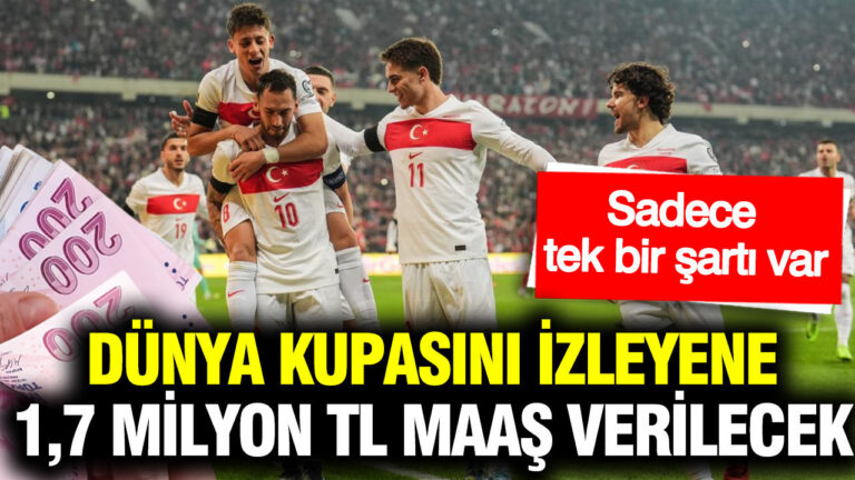 dunya-kupasini-izleyene-17-milyon-tl-maas-verilecek-dunyanin-en-cilgin-isi-icin-alimlar-I3JbtNqt