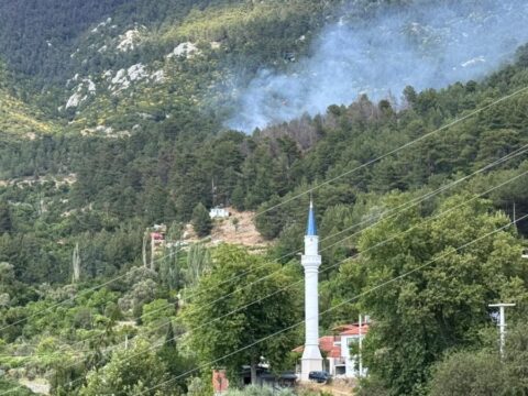 Antalya’da ormanlık alanda yangın
