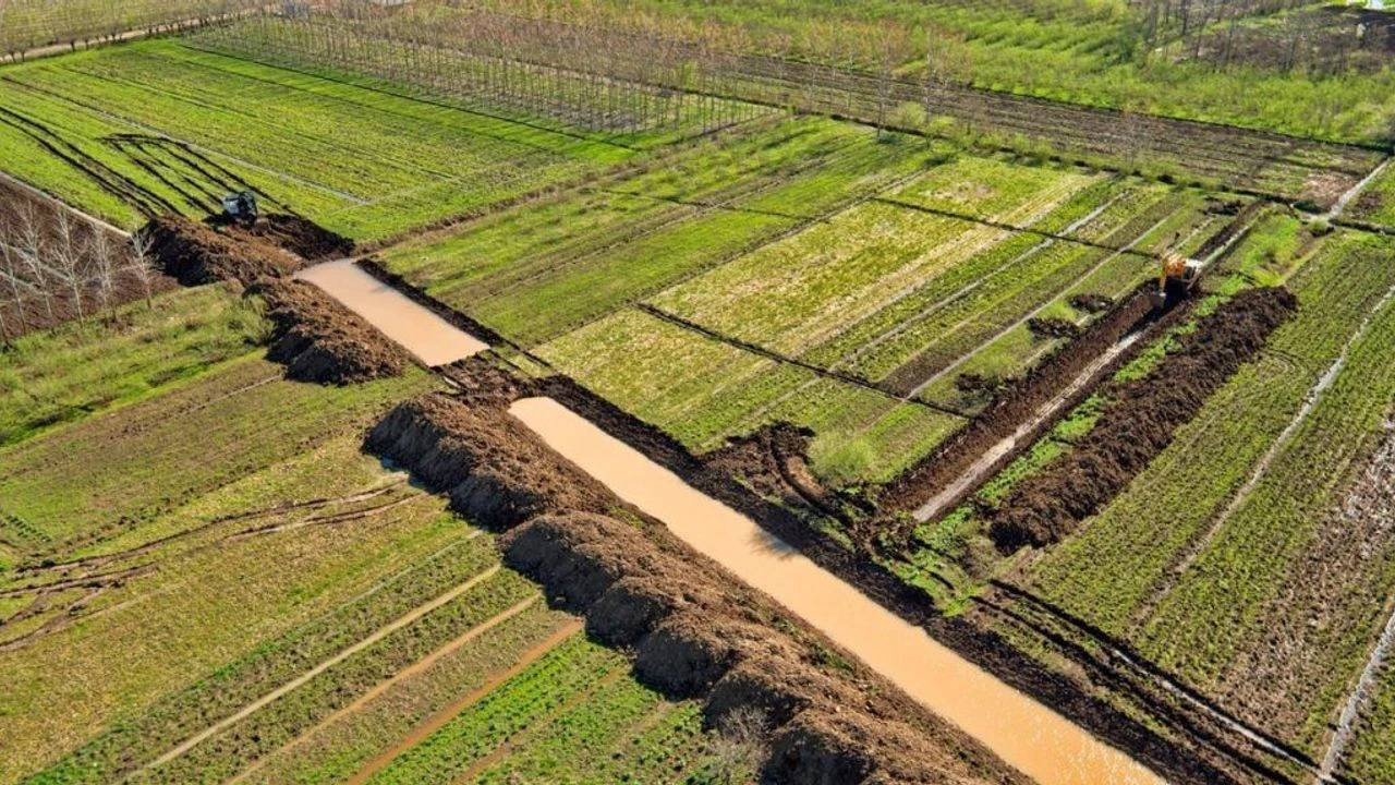Carsamba ovasinda sezonun ilk hasadi basladi bu yil tam 60 ton rekolte bekleniyor 9sj4LkXP